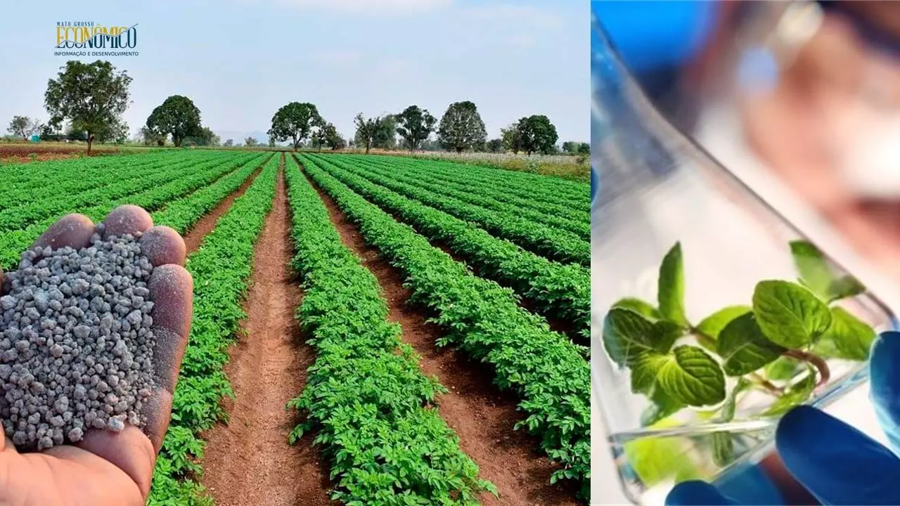 fertilizantes